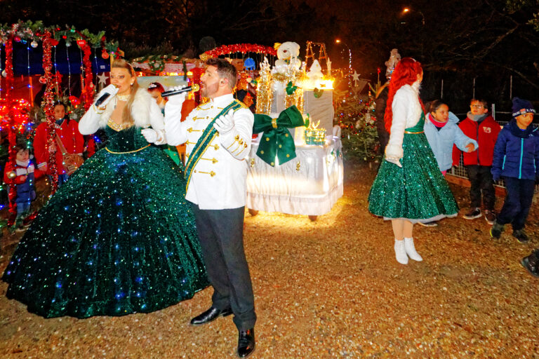 Marché de Noël 2025-12-05 10