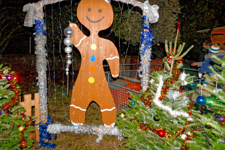 Marché de Noël 2025-12-05 28