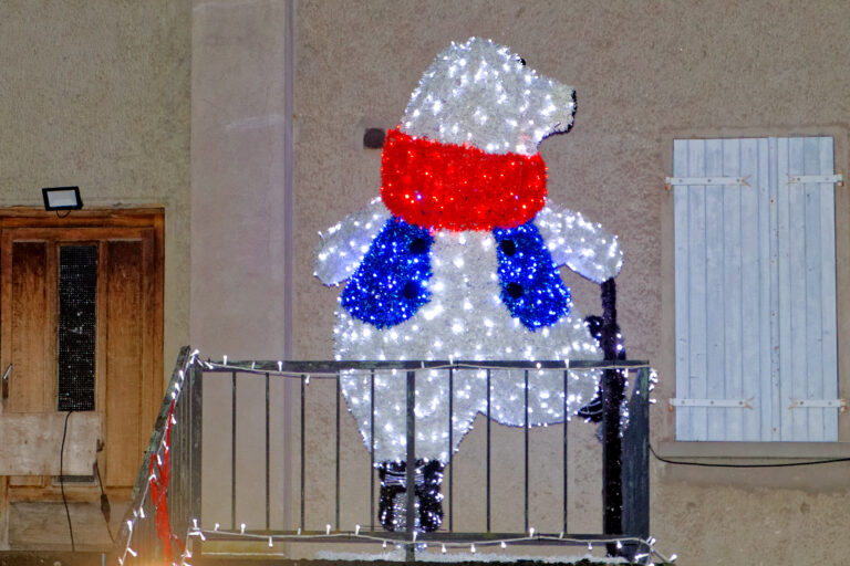 Marché de Noël 2025-12-05 38