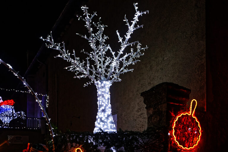 Marché de Noël 2025-12-05 50