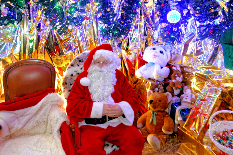 Marché de Noël 2025-12-05 57