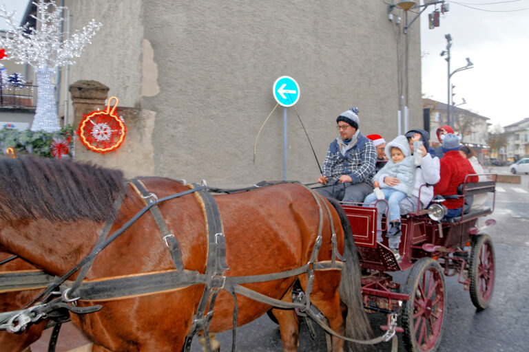 Marché de Noël 2025-12-06 77