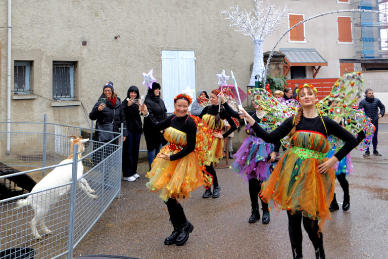 Marché de Noël 2025-12-07 13