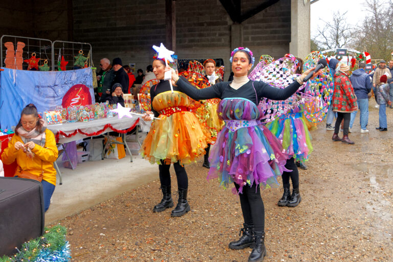 Marché de Noël 2025-12-07 19