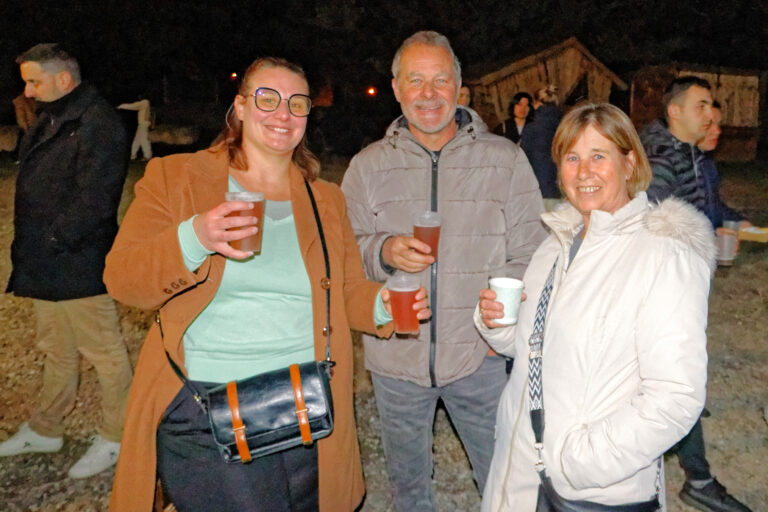 St Patrick 2026-03-17 15